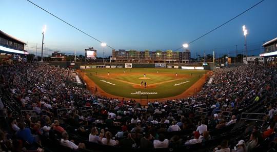 Spartans Rally Comes Up Short In Losing To Lugnuts (PHOTO: MSU SID)